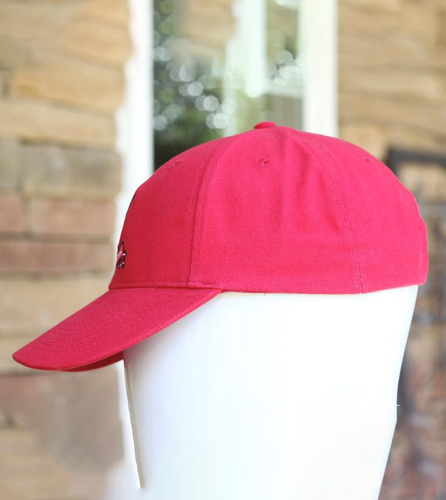 Kilted Squirrel Brushed Twill Cap pink